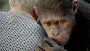 Scimpanzè triste con la testa appoggiata sulla spalla di un uomo